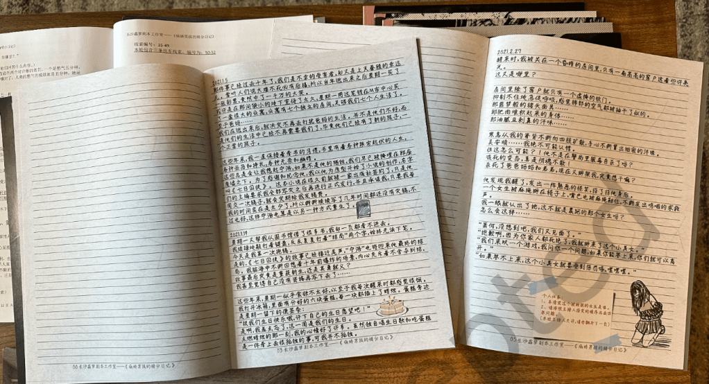 Photo of diary booklets with lots of text